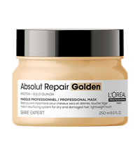 loreal pro serie expert 21 absolute repair mask G250 ML R VI22